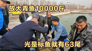 【湖庫釣魚老孫】10000斤大青鱼投放钓场，钓友亲自绑标鱼63条，这是要断竿的节奏#钓鱼