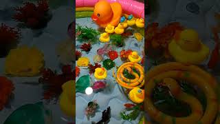 Colorful Aquraium | 4K Fish Video part 12