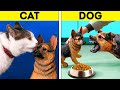 CAT VS. DOG || Cute And Useful Pet Hacks, DIY Crafts And To See Real Difference Between Them