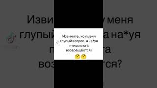 #ну зачем❓