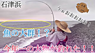 急に魚の大群が！ナブラの正体は！