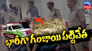 జగిత్యాల జిల్లాలో భారీగా పట్టు పడ్డ గంజాయి | Ganja Seized in Jagityala District | Amma News