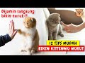 12 RAHASIA BIKIN KUCING NURUT !! CARA MENJINAKAN KUCING DAN CARA MELATIH KUCING AGAR NURUT