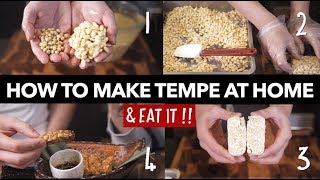 Tempe making recipes & easy way at home テンペ템페
