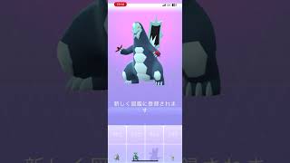 セビエをゲットしたのでセゴール、セグレイブに進化させる動画　2023.9.10.[ポケモンGO]