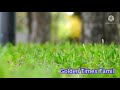 pattinathar goldentimestamil ஊர் வாயை மூட உலைமூடி உண்டா பட்டினத்தார் கதை golden times tamil