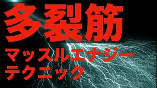 【治療】深部多裂筋のマッスルエナジーテクニック