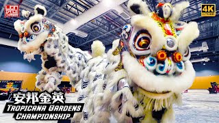 Ampang Kim Ying 安邦金英 Team B | Lion Dance Championship @ Tropicana Gardens Mall