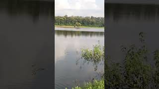 Most Beautiful Small Dam In Melghat | Dam | Travel Lumen | #nature #shorts