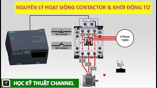 Nguyên Lý Hoạt Động Của Contactor & Khởi Động Từ || Contactor Working Principle