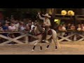 xcaret horses show