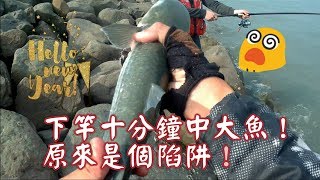 釣魚(fishing)實況紀錄:下竿立刻中魚,原來是欺騙局!!(海釣篇)