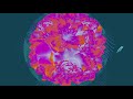 Posij - Fifteen Minutes (ft. Tzar)