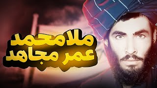 ملا محمد عمر | زندگی و میراث یک رهبر جهادی | سیاست افغانستان