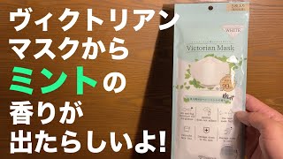 やっぱり日本製マスクが最高⑨② Victorian Mask から気分爽やかなペパーミントの香りが発売されてた件 ミント効果を検証