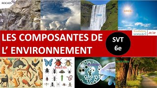 Composantes de l'environnement | SVT | 6e