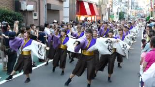 おどりんちゅ ・2015中延よさこい祭り・\