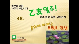 (일주를 알면 사주가 보입니다.) 48. 을해일주의 성격. 특성.  물위에 피어난 부평초 인생