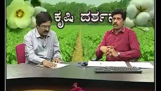 BC-4/7/17.1)Cotton cultivation-Live phone-in.