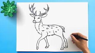 How to draw a Deer 💙