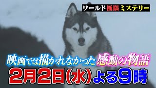 南極を生き抜いたタロとジロ…奇跡の裏にはもう一頭の犬がいた『ワールド極限ミステリー』2/2(水)【TBS】