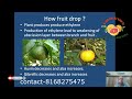 kinu fertilizers citrus kinnow ki kheti किन्नू माल्टा psylla orange farming santre august part 3