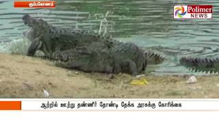 Crocodile at Kumbakonam River threats Adi 18 celebration | Polimer News