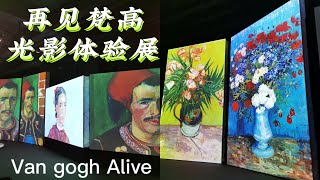 [再见梵高——光影体验展] Van Gogh Alive Malaysia | 艺术展