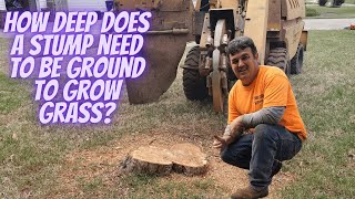 How deep does a stump need to be ground to grow grass?