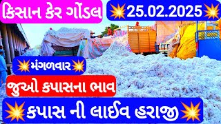 આજના કપાસ ના ભાવ | કપાસ ના બજાર ભાવ | cotton crop price | aaj na kapas na bhav Gondal 25/02/2025