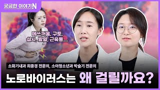 ⚠️굴 조심❓❗[궁금한 이야기N] 노로바이러스는 왜 걸릴까요?