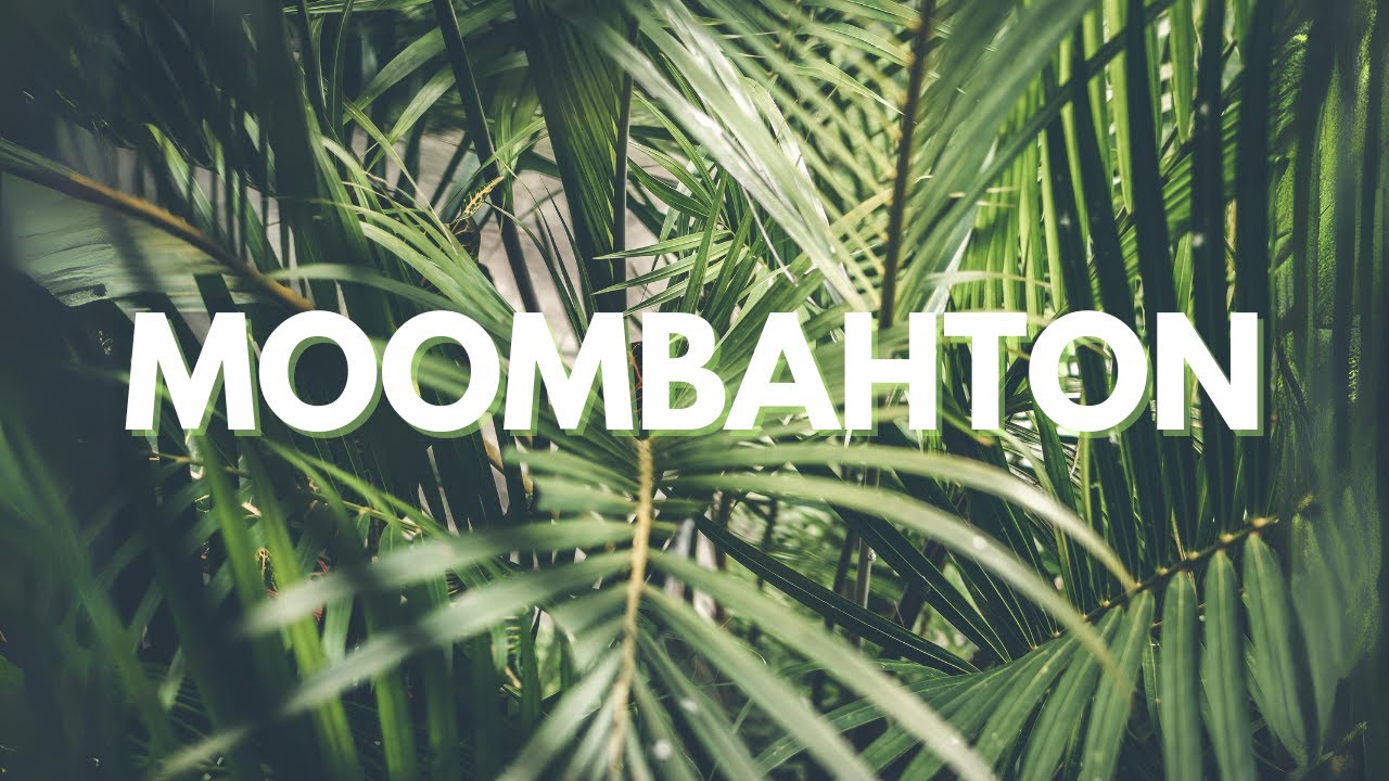 Moombahton Mix 2022 рџћ рџ ґ The Best Of Moombahton Youtube Music