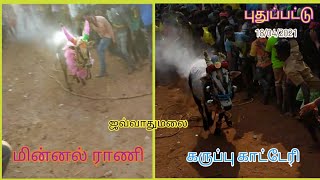 ஜவ்வாதுமலை ராணி \u0026 காட்டேரி ஓட்டம் | புதுப்பட்டு Street 18/04/2021 | Padavedu Jallikattu