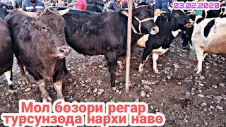 МОЛБОЗОРИ РЕГАР НАРХИ БУКА турсунзода