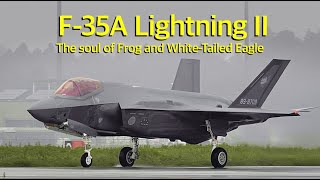 [ASMR] [English subtitles] JASDF F-35A・F-4EJ kai  \