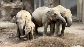 20240708:今日の円山動物園