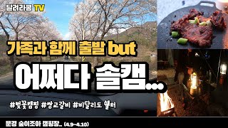 (캠핑)어쩌다 솔캠 그리고 자연|벚꽃캠핑|비달리도쉘터|먹방|문경 숲이조아