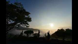 《彩雲追月 幾度花落時》青山隱隱水迢迢 秋時已盡草未凋 二十四橋明月夜 玉人何處教吹簫   新北坪林 南山寺 中秋 2021-09-21