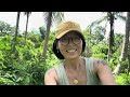 vlog619 for sale 4000 sqm lots of fruit bearing trees in san antonio quezon philippines