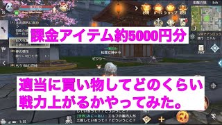 パーフェクトワールドM  課金アイテムを5000円分程度購入してどのくらい戦力上がるか検証してみた。