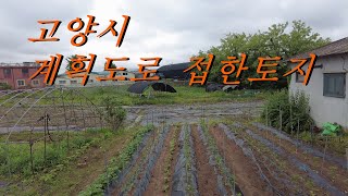 고양시 일산 도시계획도로 접한 259평(취하)