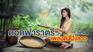 ดอกฟ้าราตรี | วันไช สมสุก | เพลงดังฝั่งลาว