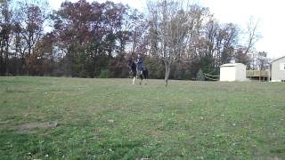 M4H08747.MP4