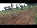 2 Acres Agriculture Land for Sale near Gundalpet. (8197434359).