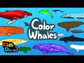 Color Whales | Let's learn different colors with Whales | Kids Draw