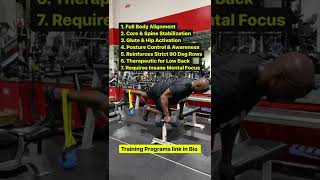 The MOST Advanced ROW Ever!! Bird Dog Row Hanging Band Kettlebell on Foot with NFL Pro Duron Harmon