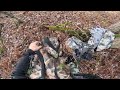 october 2024 wisconsin public land bow hunting