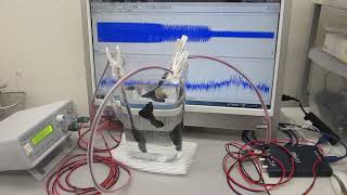 メガヘルツの超音波発振制御システム