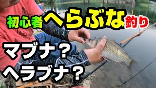 初心者がヘラブナ釣りに挑戦！魚屋3人で森を抜け小野湖に！　　　　　　　　　　　　　　　　　　　　　　　　　　　　　　釣れたのはヘラブナ？マブナ？どっち？【釣り坊主さんとコラボ釣行】