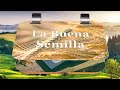 la buena semilla 25 de enero esperanza para los desanimados